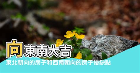 房子面東北|【面東北】面東北的房子風水全指南：優缺點、禁忌一覽表